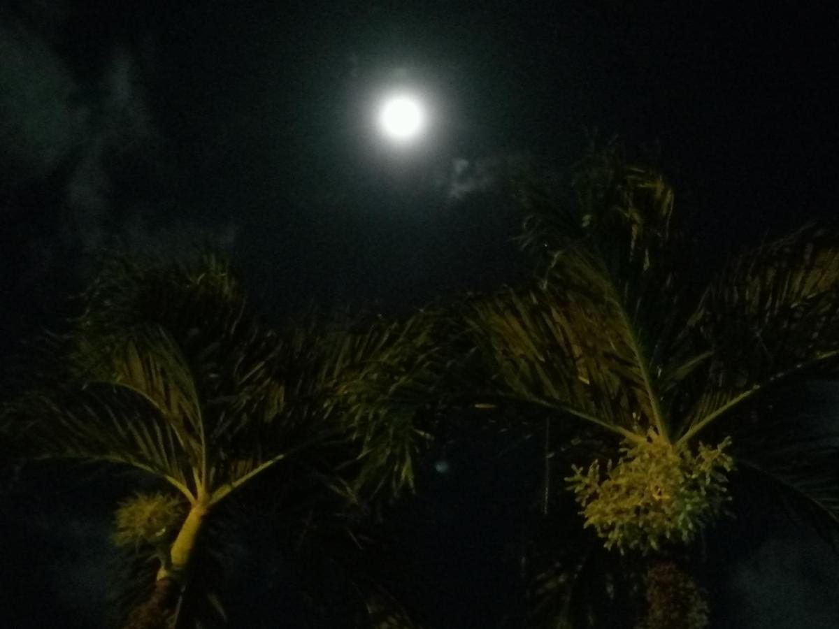 Hotel Malinche Quepos Bagian luar foto